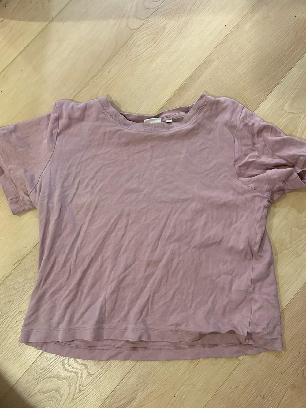 Aritzia Babaton Short-Sleeve boxy Crewneck Tee in Dusty Mauve